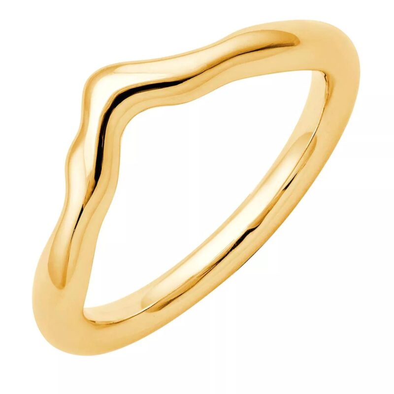 Pukka Berlin Ringen - Nimbus Metal Chevron Ring in gold