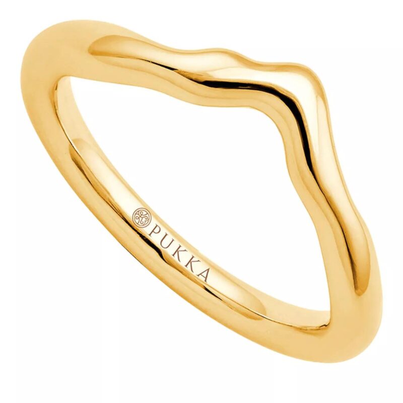 Pukka Berlin Ringen - Nimbus Metal Chevron Ring in gold